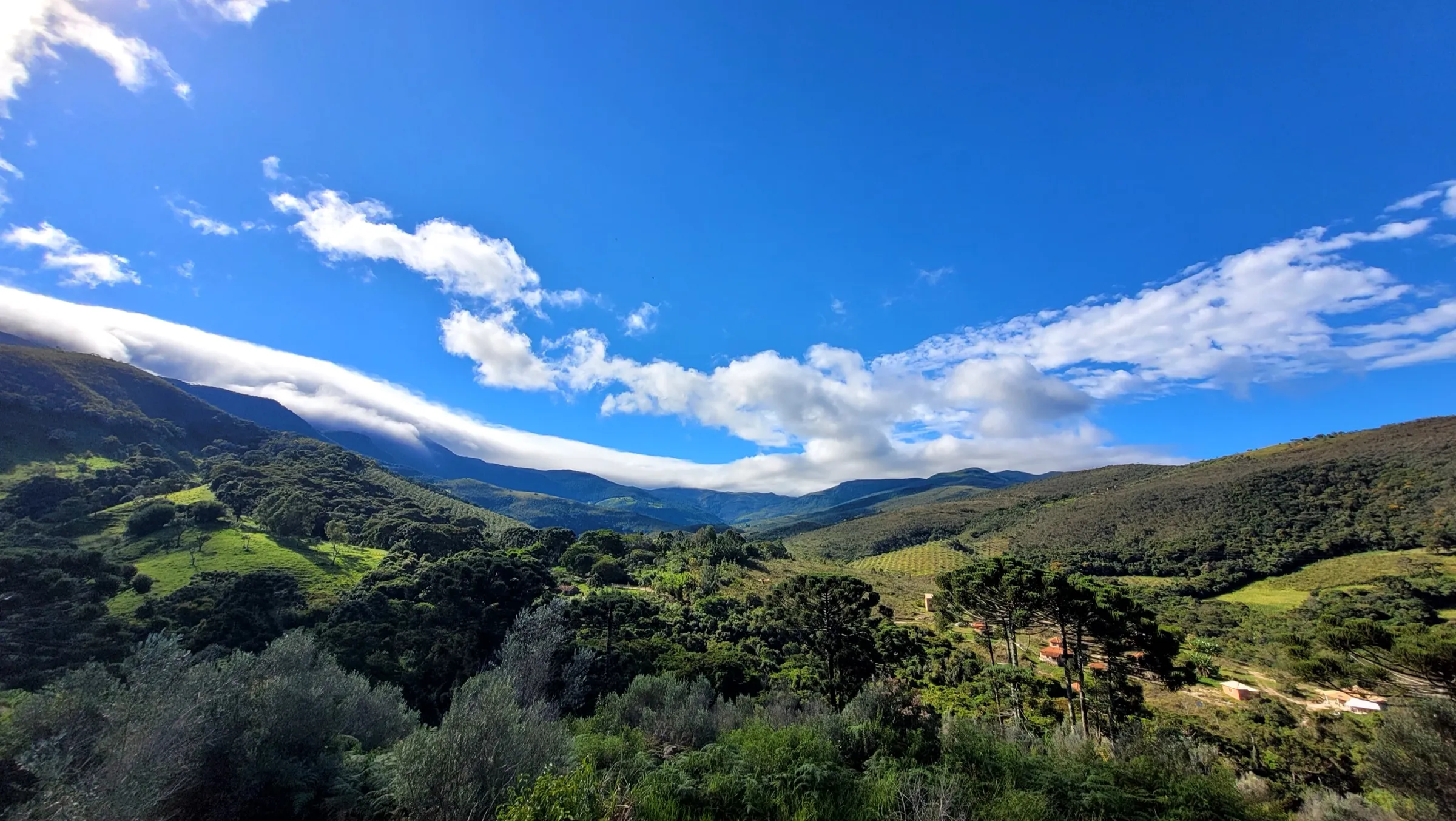 O mar de montanhas do Céu do Gamarra, com araucárias e céu azul